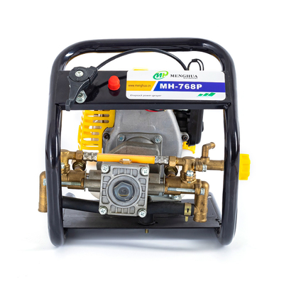 Cheap Durable Garden Garden Gasoline Backpack Motor Sprayer